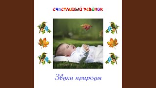 Мелодия дождя - Счастливый ребёнок