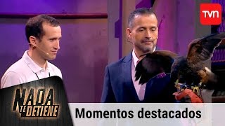 Rapaces Nahuelbuta: Control de plagas con aves rapaces | Nada te detiene | Buenos días a todos
