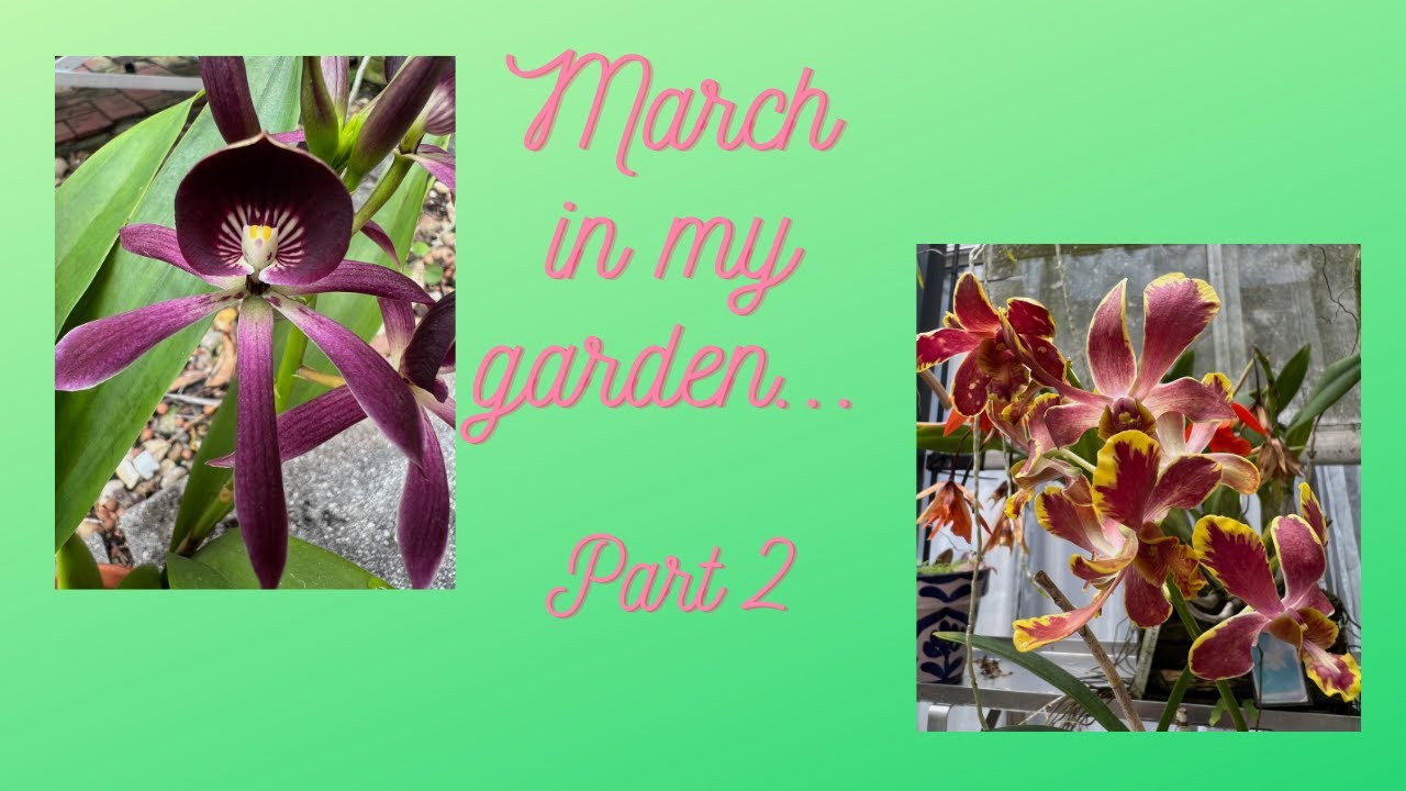March Part 2 - YouTube