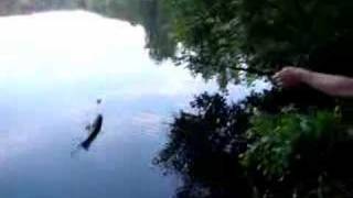 Home Fishing