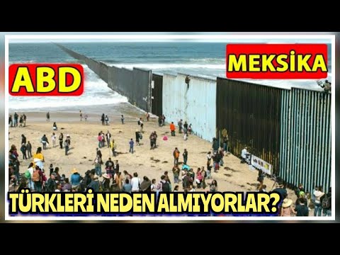 Video: Avokadolar Meksika'dan ABD'ye nasıl taşınır?