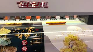 Stormjet Inkjet Printer With 8 Color Ink For Artwork Printing