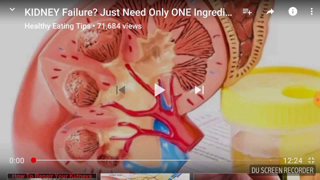 How to repair your kidneys from any damages from pain killers YouTube