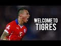 Eduardo Vargas ● Welcome To Tigres | Best Skills & Goals | 2016/17 | HD