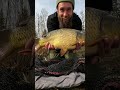 🎣So kann es weitergehen!🔥#angeln #carpfishing #karpfen #carp #carprun #karpfenangler #fish