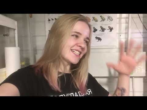 Как дела в амфиблэб? Январь 2020.