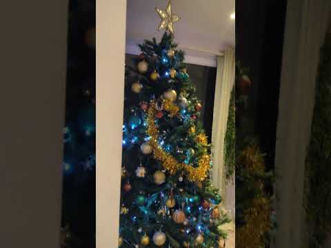 Christmas Decorations 2025