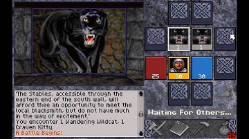 Ruins of Cawdor - Online Gameplay