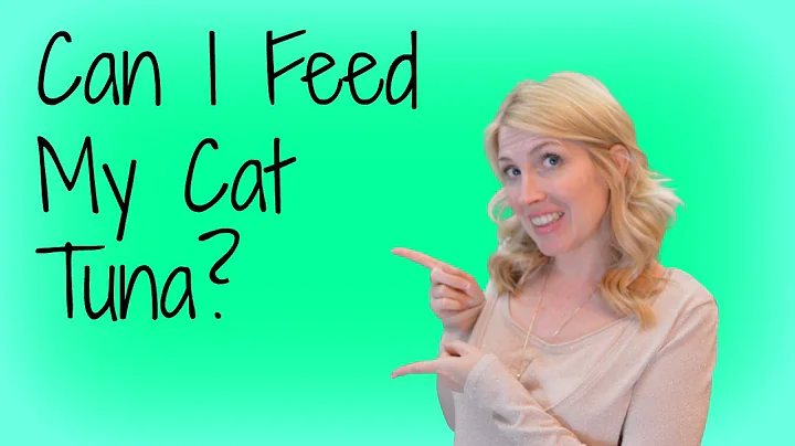 Can I Give My Cat Tuna? Can I Feed My Cat Tuna? Can My Cat Have Tuna?