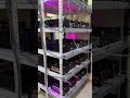 Touring server Farmphonebox 10000 #boxphonefarm #makemoneyonline #shorts