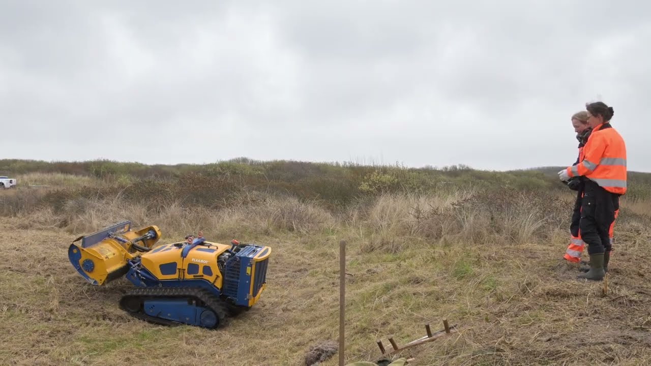 Naturpleje ved Skagen Nordstrand april 2025