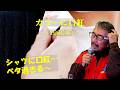 「カラーに口紅」 字幕付きカバー 1960年 Edna Lewis George Goehring作詞作曲 みナみカズみ訳詞 森山加代子 若林ケン 80歳わが心の昭和歌謡
