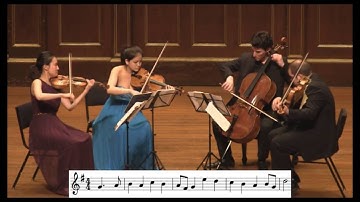 Haydn Theme And Variations