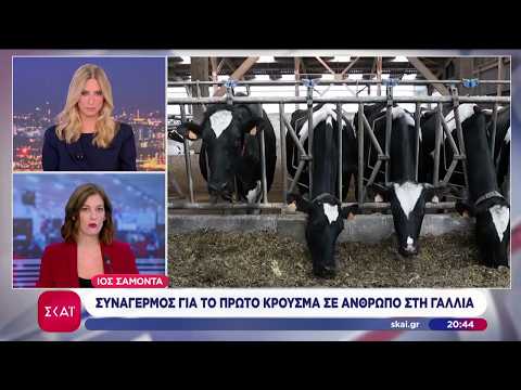 Ιός Σαμόντα: Συναγερμός για το πρώτο κρούσμα σε άνθρωπο στη Γαλλία | Ειδήσεις Βραδινό Δελτίο
