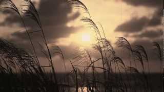 .: Summer Breeze :. (Seals and Crofts) chords