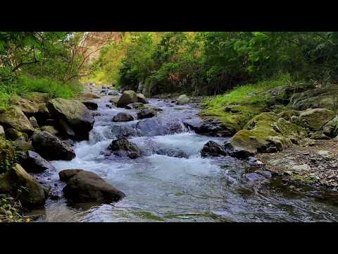 Relaxing Water Sounds for Stress Relief and Calm | River Ambience