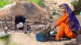 Morning Routine Of Balochistan Hill Top Women And Lifestyle | Pakistan Village Life
