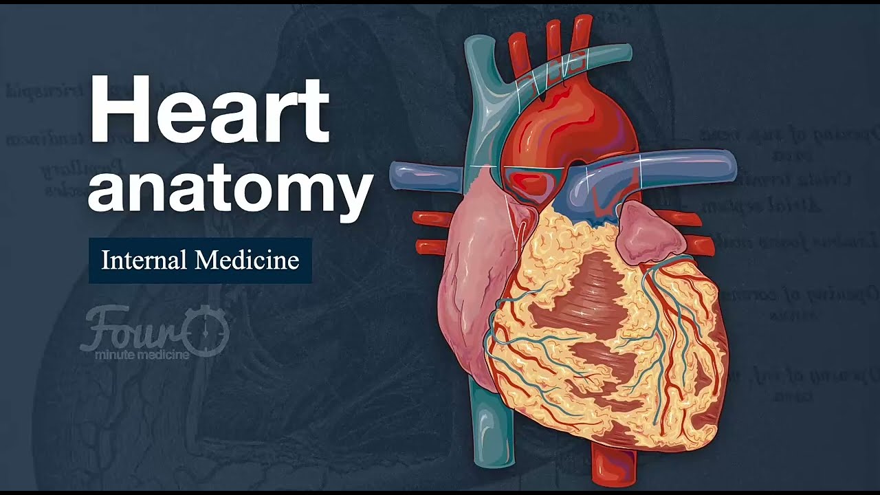 I Built the World’s Largest Heart! 