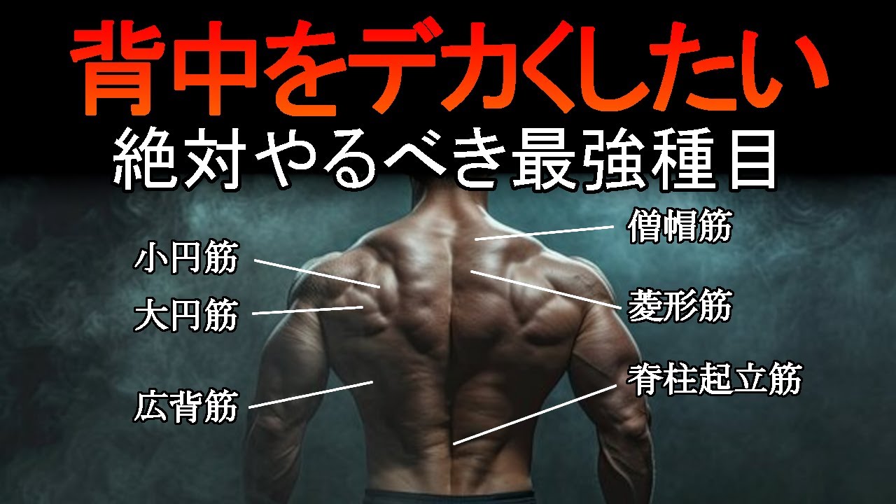 背中トレでデカくなりたいなら今すぐこれをやれ！背中の最強種目と筋トレ法を科学的に徹底解説！