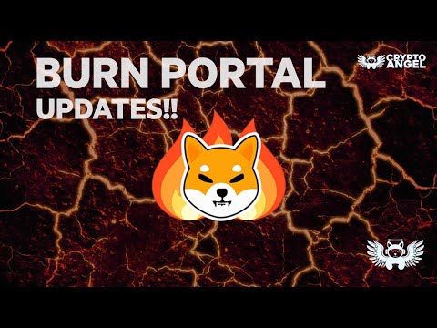 Burn Portal Update! #shibainu #ryoshivision