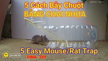 5 Cách Bẫy Chuột Đơn Giản -Bằng Chai Nhựa Hiệu Quả ☆ 5 Easy Mouse/Rat Trap ☆ DiNa - DIY