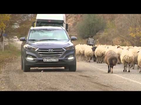 Наши тесты. Hyundai Tucson