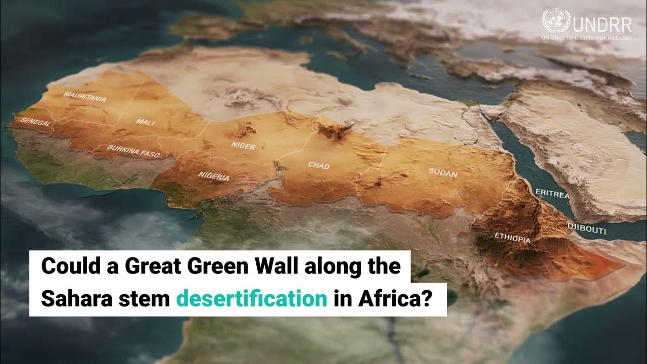 Could a Great Green Wall along the Sahara stem desertification in