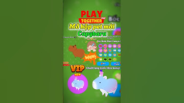 Playtogether | Mở 15 hộp pet mới Capybara được một em vip kẹo bông -P1