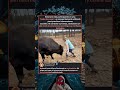 NO INTENTES HACER ESTO CON TOROS SALVAJES