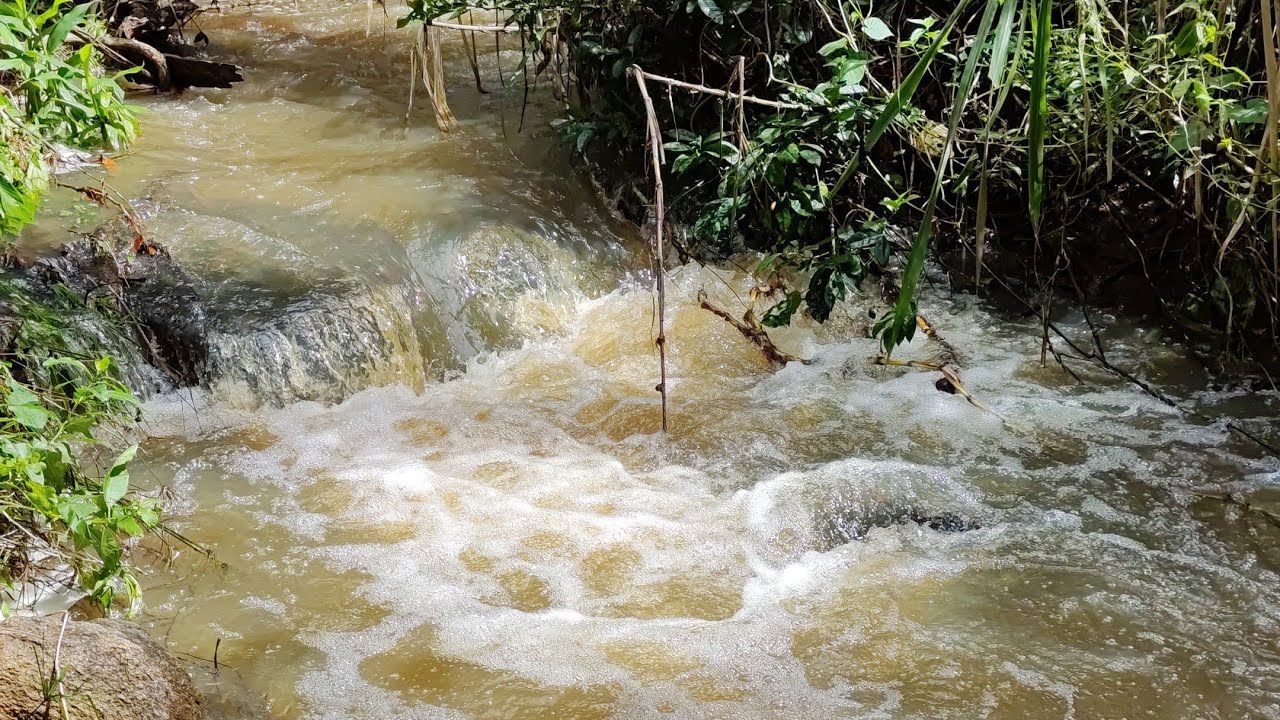 lindo sitio a venda perto de terra vermelha PE 10 km de Caruaru PE escritura 2 casas cercado