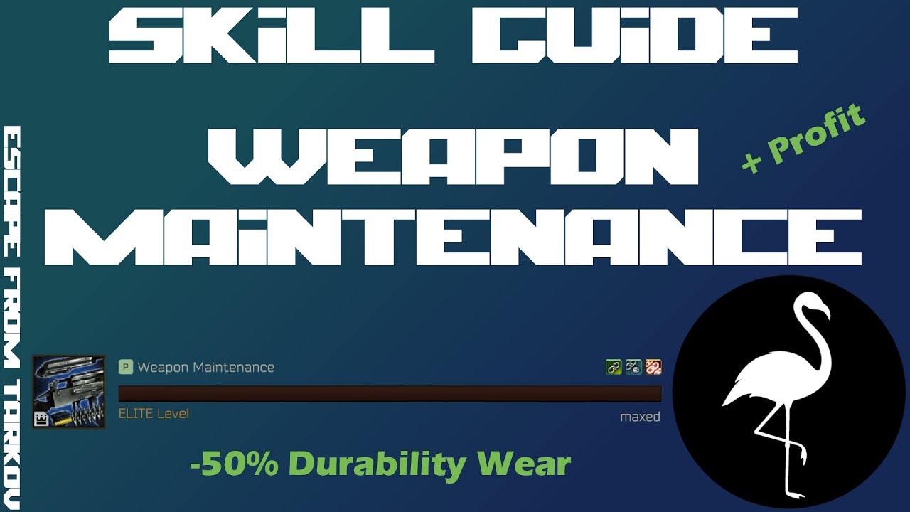 Skill Guide Weapon Maintenance How to go from Level 0 to Elite Free