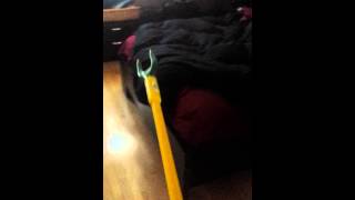 Cattle Praud Wake Up