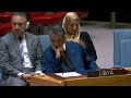 Libya: Playground for Global Powers' Rivalry - Head of UN Mission in the Country | Security Council