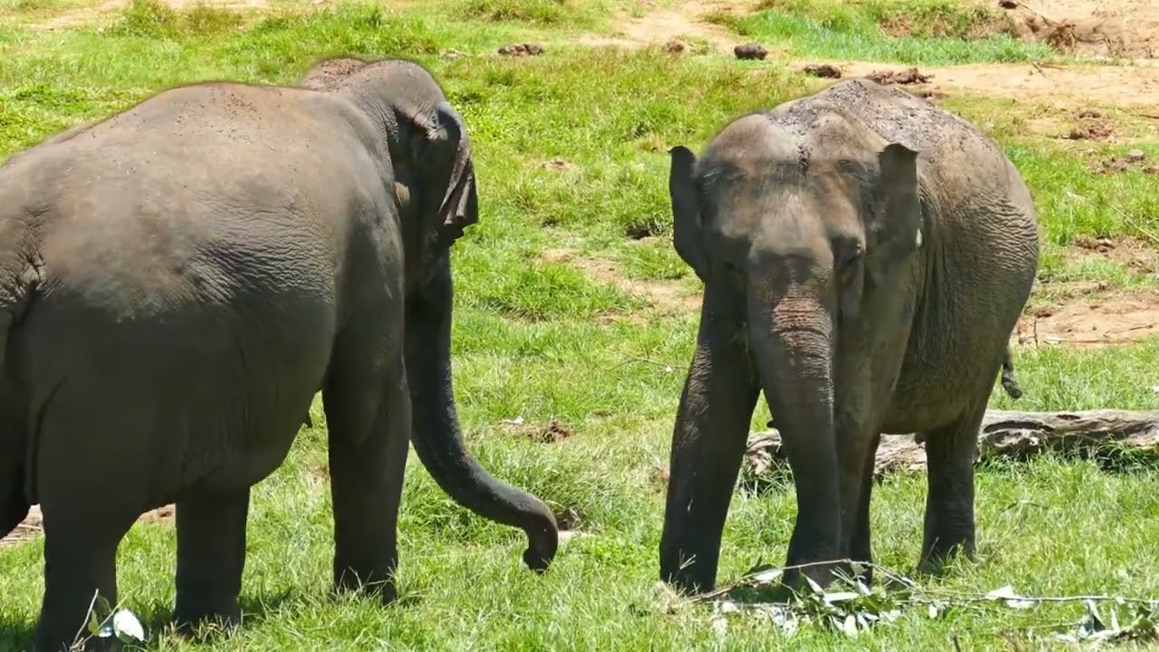 Top-10 places to visit in Nairobi Arboretum for travelers in 2023