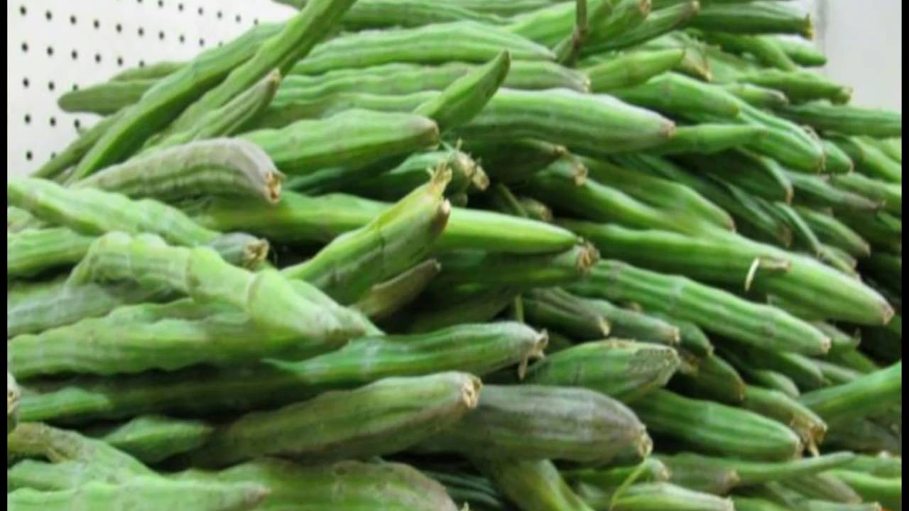 DRUMSTICKS USES మున‌గ‌కాయ‌లు..ఆకుల‌తో ఆరోగ్యం.. YouTube