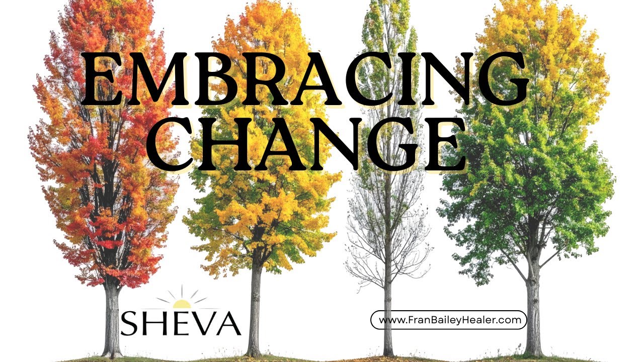 Cosmic Timing and Transformation | December 4th Super Full Moon Energy Update