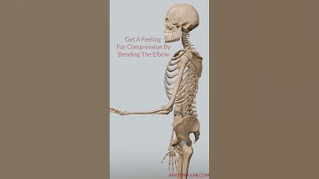 "Tension vs. Compression: Unlocking Your Body’s True Range of Motion!"