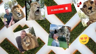 Cel Mai Frumos Leu De Pe Tik Tok