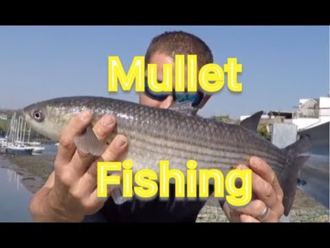 How to Catch Mullet - Float fishing - Shore Sea Fishing Cornwall