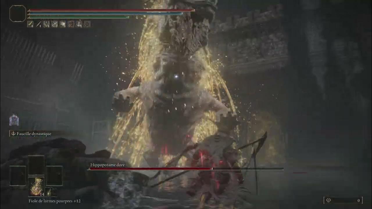 ELDEN RING HIPPOPOTAME DORÉ NO HIT NG+5 YouTube
