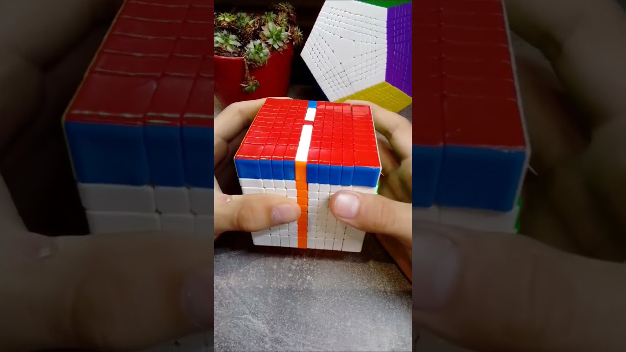 DON T REMOVE THE LIVE SUPPORT Cubing Shorts