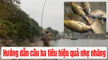 HƯỚNG DẪN CÂU BA TIÊU NHẸ NHÀNG VÀ HIỆU QUẢ NHẤT - (VIDEO MỚI NHẤT CHÍNH XÁC NHẤT )