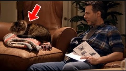 A Cat Showed Up at My Door — Then I Discovered Her Secret…