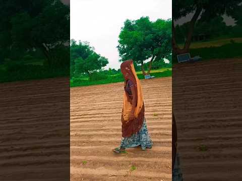 પરિણામ મારો ઘરે નથી જમા હોતા નથી