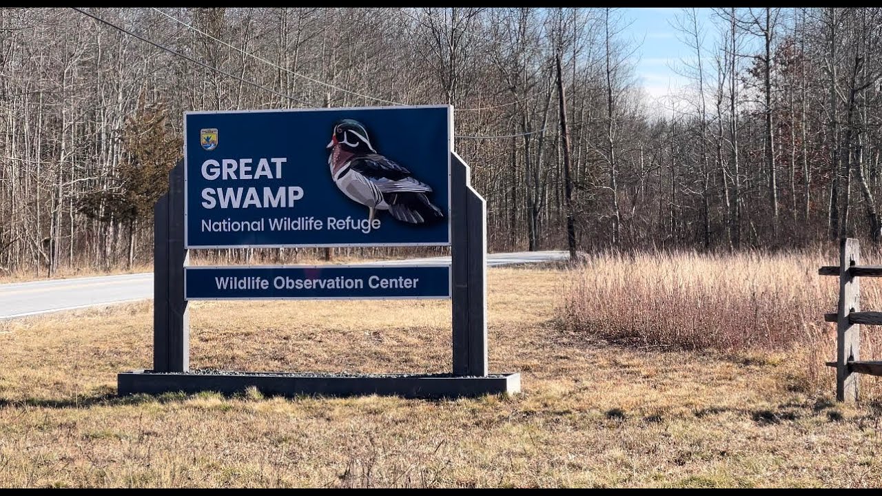 Fishing At The Great Swamp in NJ | Headwaters of the Passaic River