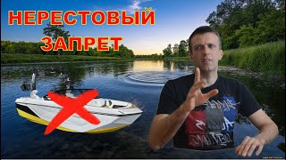 картинка: НЕРЕСТОВЫЙ ЗАПРЕТ - можно ли кататься на лодке в запретный период? Звоним в ГИМС и РЫБНАДЗОР