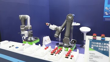 TM5 Collaborative Robot Dual SCHUNK arm example