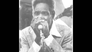 Walter Horton - Cotton Patch Hot Foot