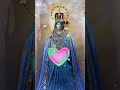 #avemaria #madhasongs #Arokia madha #மரியே வாழ்க #sasthiri shrine #christian songs