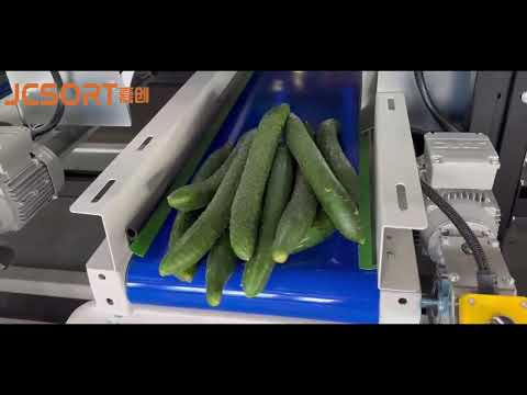 Cucumber Sorting and Grading Machine, cucumber color sorting machine, cucumber sizer